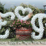 15 Addobbo Angolo Taglio Torta Nuziale con Iniziali Sposi