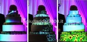 Show delle Luci su Torta  (Mapping Cake)