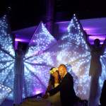 Show Farfalle Luminose