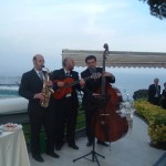 Musici eleganti