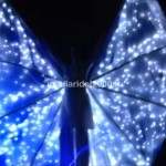 Show Farfalle Luminose per gran finale Cerimonie e Party doc 1- trimmed - snapshot