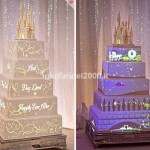 Disney-Wedding-Cake-Mapping